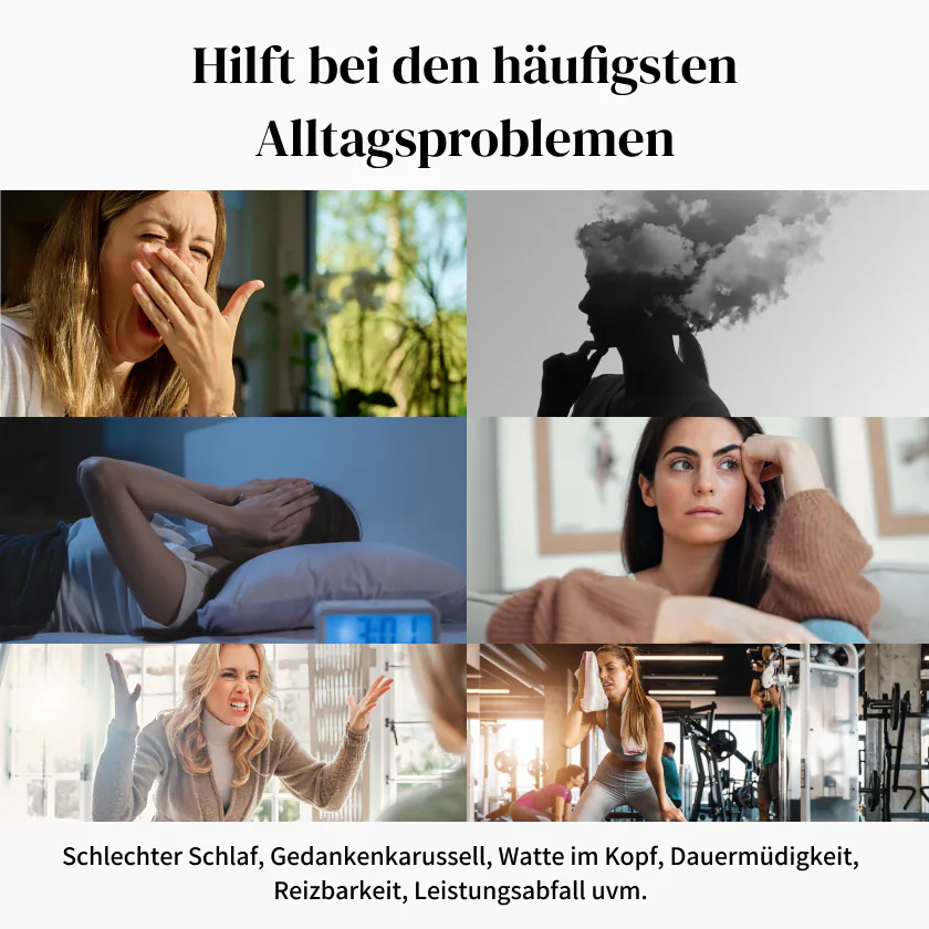 Wellbe Ashwagandha bei Alltagsproblemen