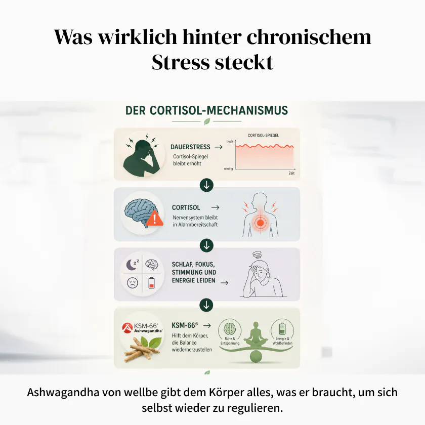 Wellbe Ashwagandha gegen chronischen Stress