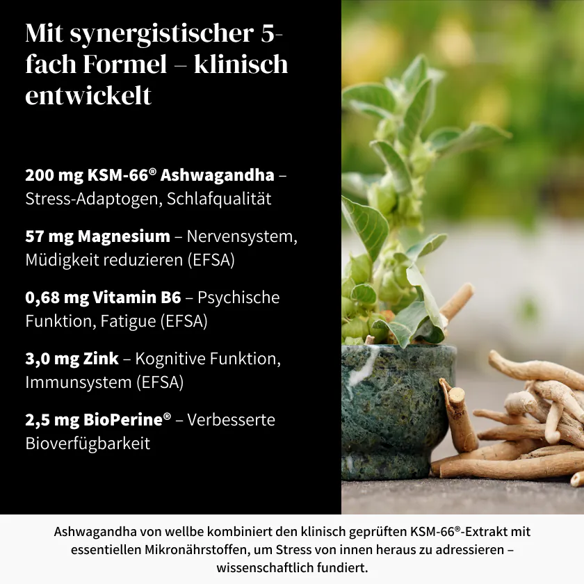Wellbe Ashwagandha 5-fach Formel